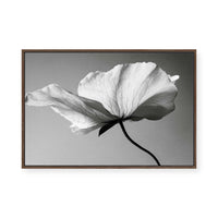 Soft Petal Dance | Framed Canvas