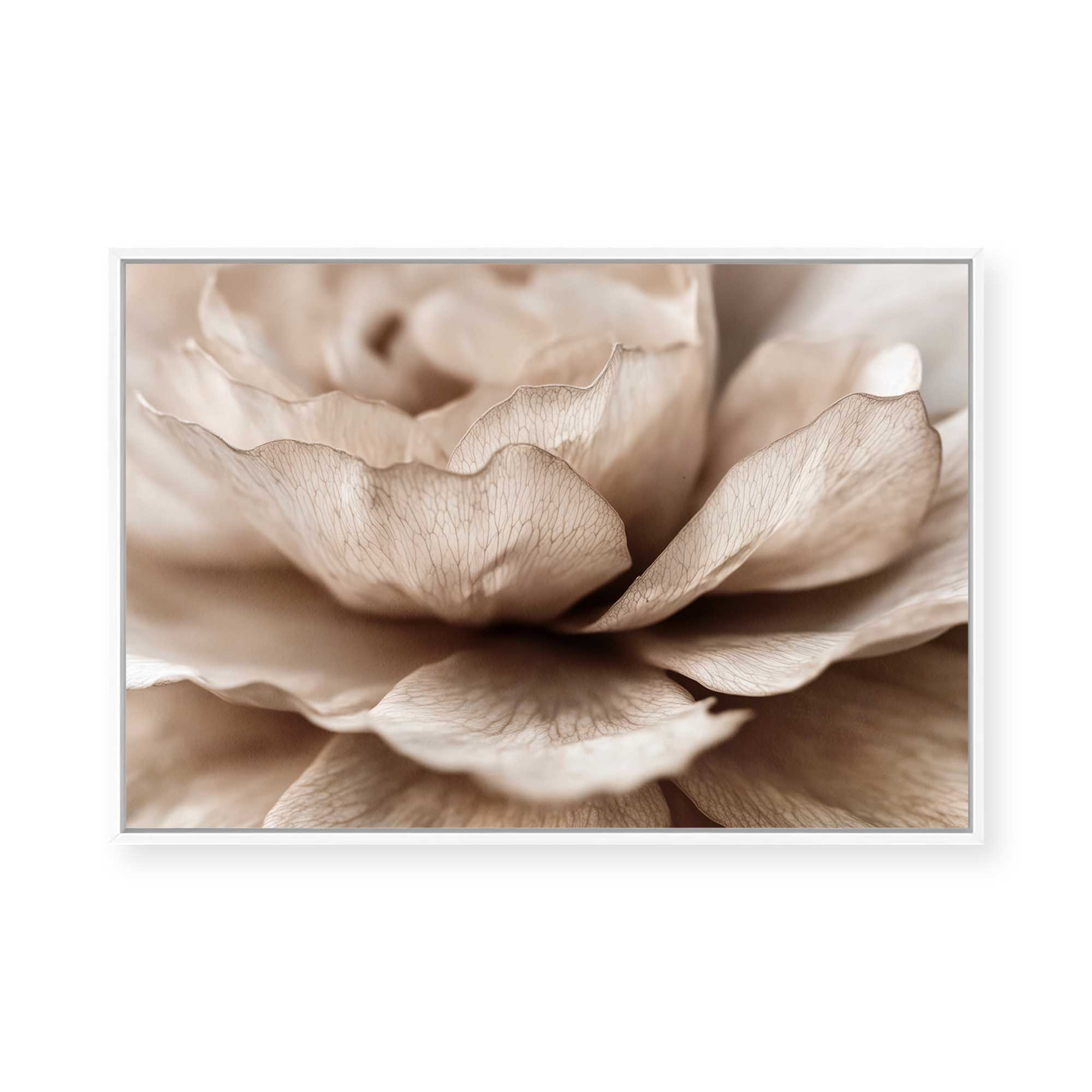 Delicate Petal Dance | Framed Canvas