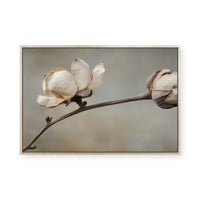 Delicate Petals | Framed Canvas