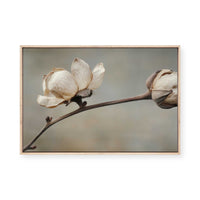 Delicate Petals | Framed Canvas