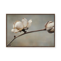 Delicate Petals | Framed Canvas