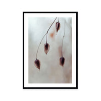 Delicate Silence