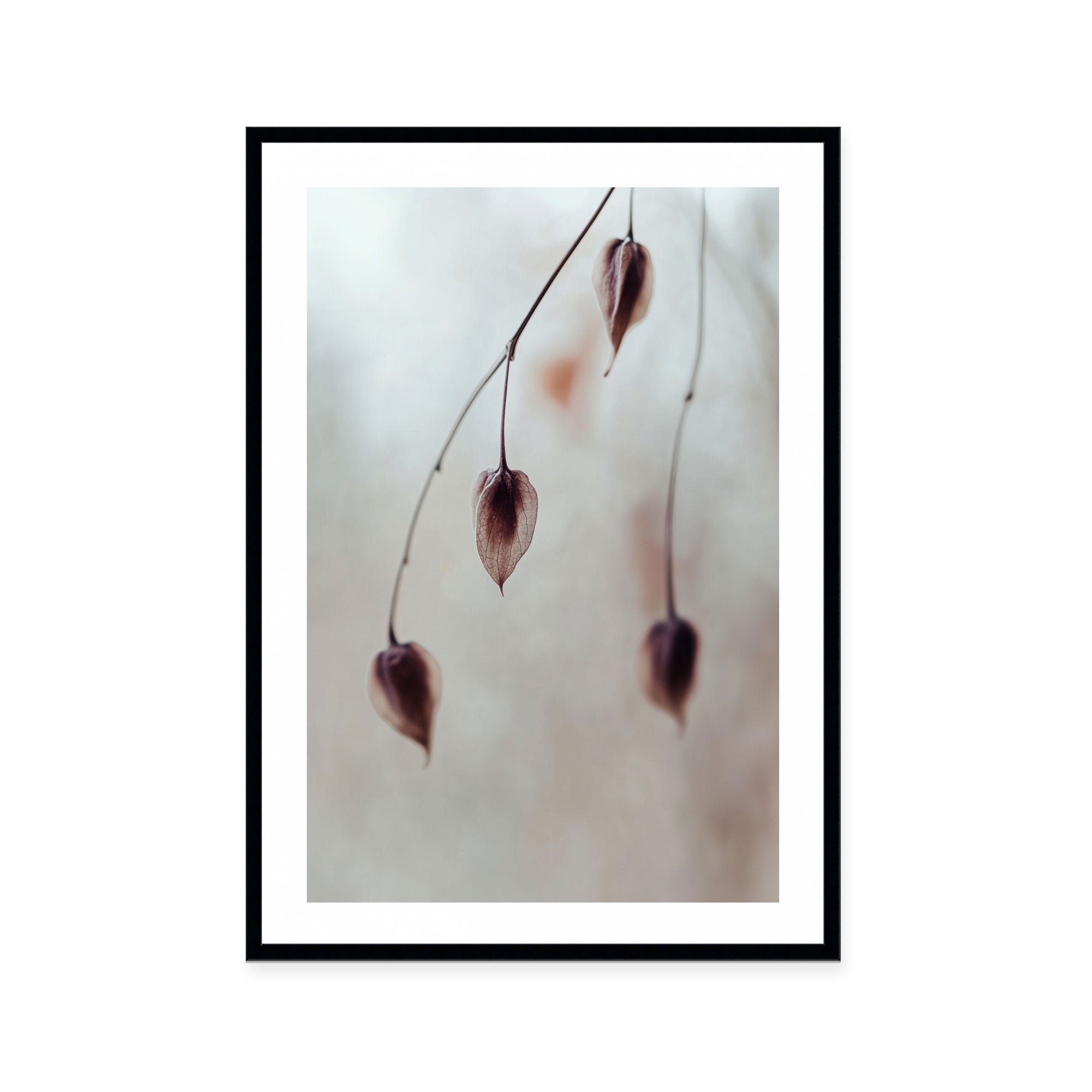 Delicate Silence