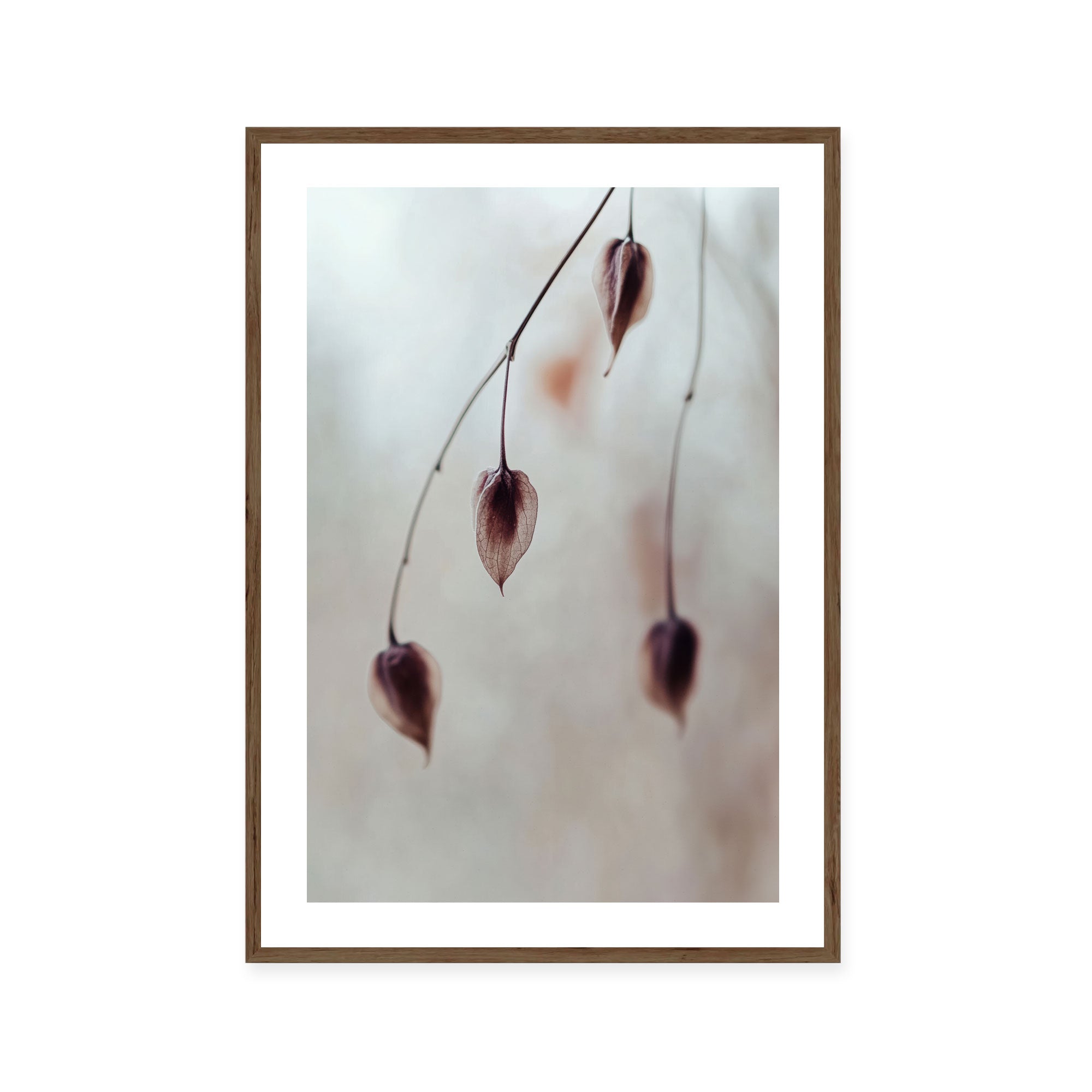 Delicate Silence