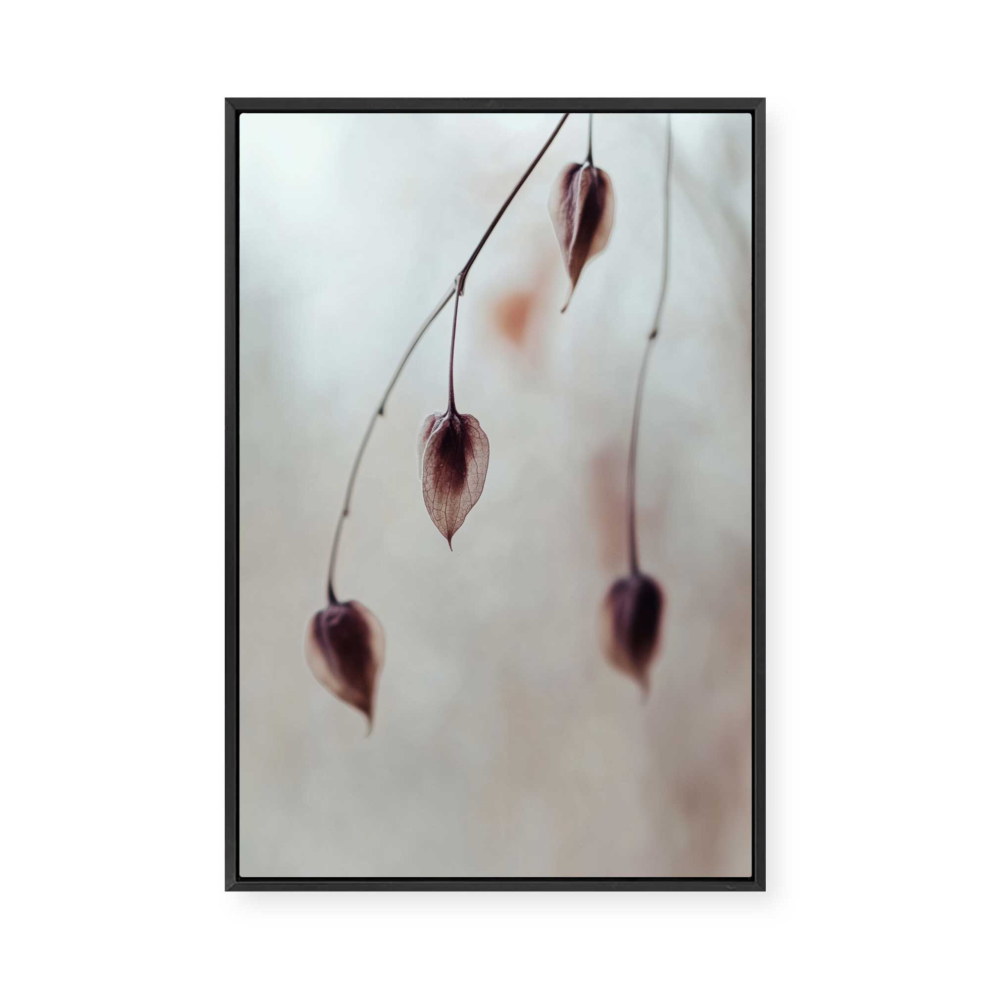 Delicate Silence | Framed Canvas