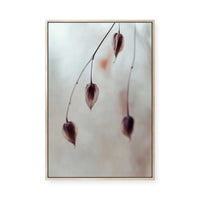 Delicate Silence | Framed Canvas