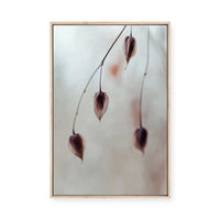 Delicate Silence | Framed Canvas