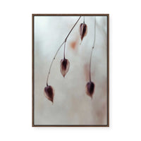Delicate Silence | Framed Canvas