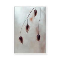 Delicate Silence | Framed Canvas