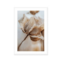 Delicate Veins