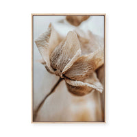 Delicate Veins | Framed Canvas