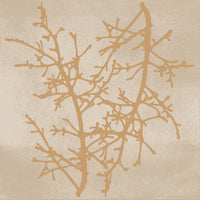 Delicate Winter Branches