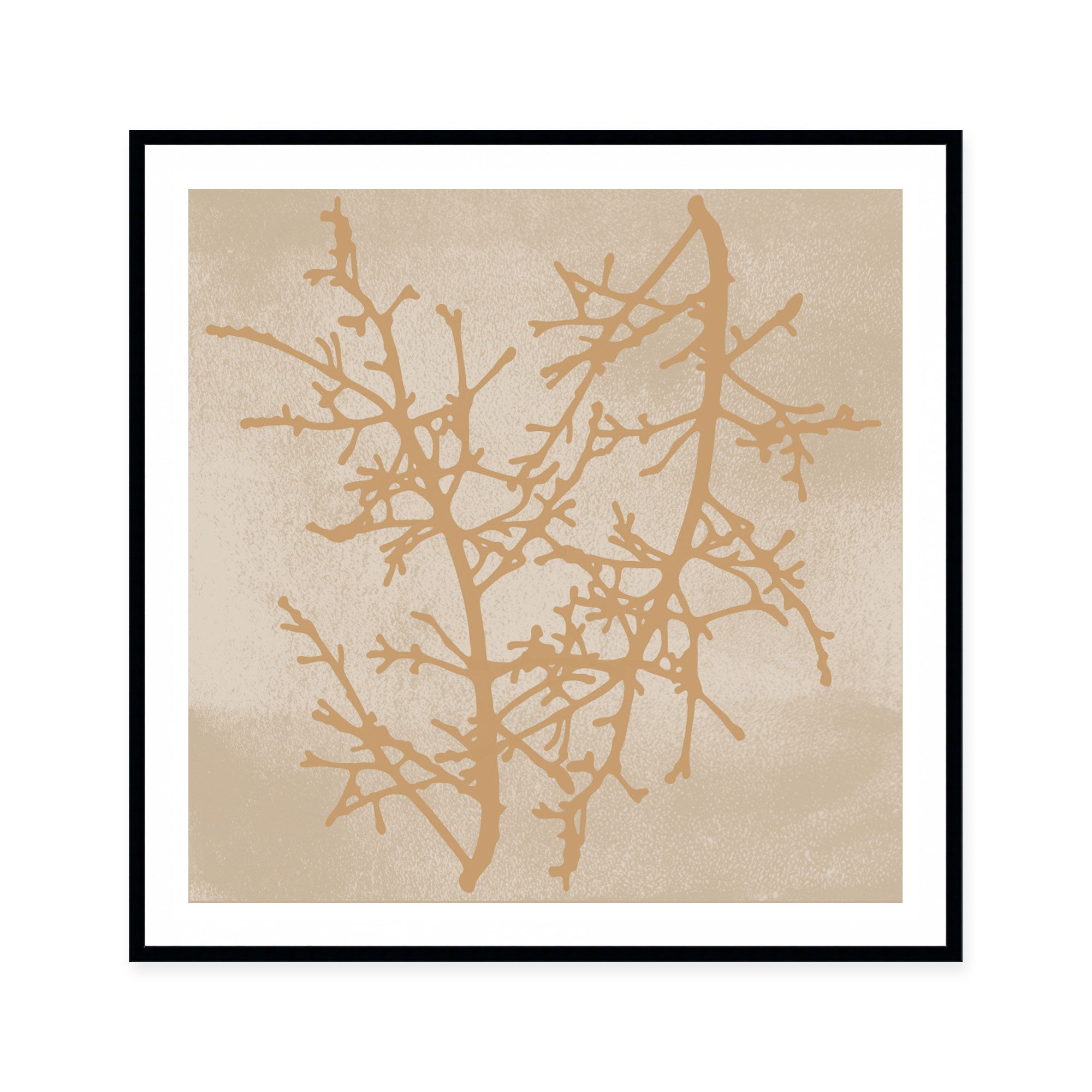 Delicate Winter Branches