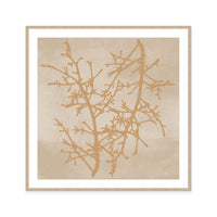Delicate Winter Branches