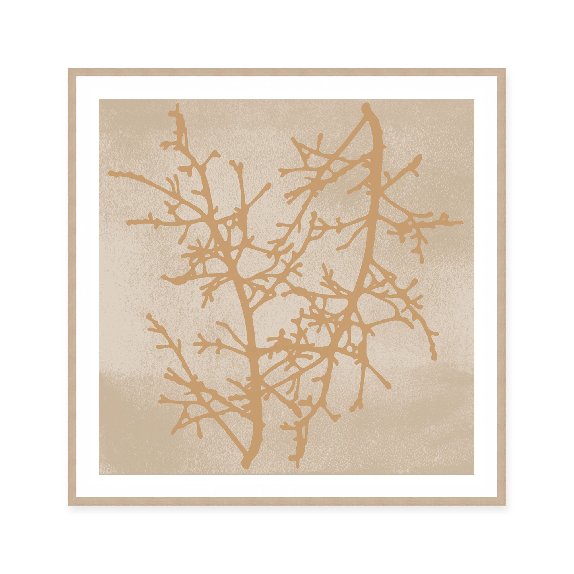 Delicate Winter Branches