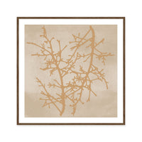 Delicate Winter Branches