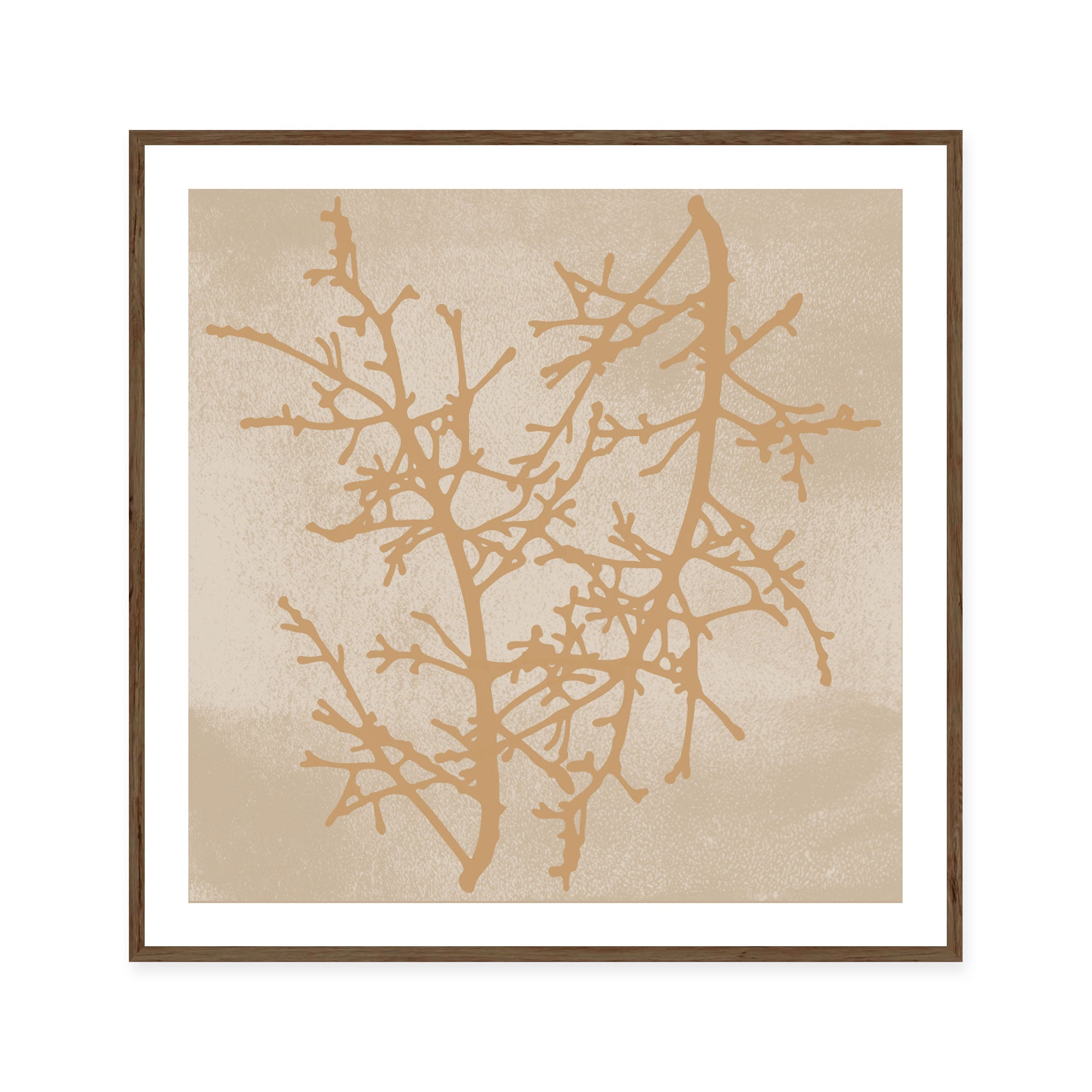 Delicate Winter Branches