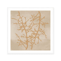 Delicate Winter Branches