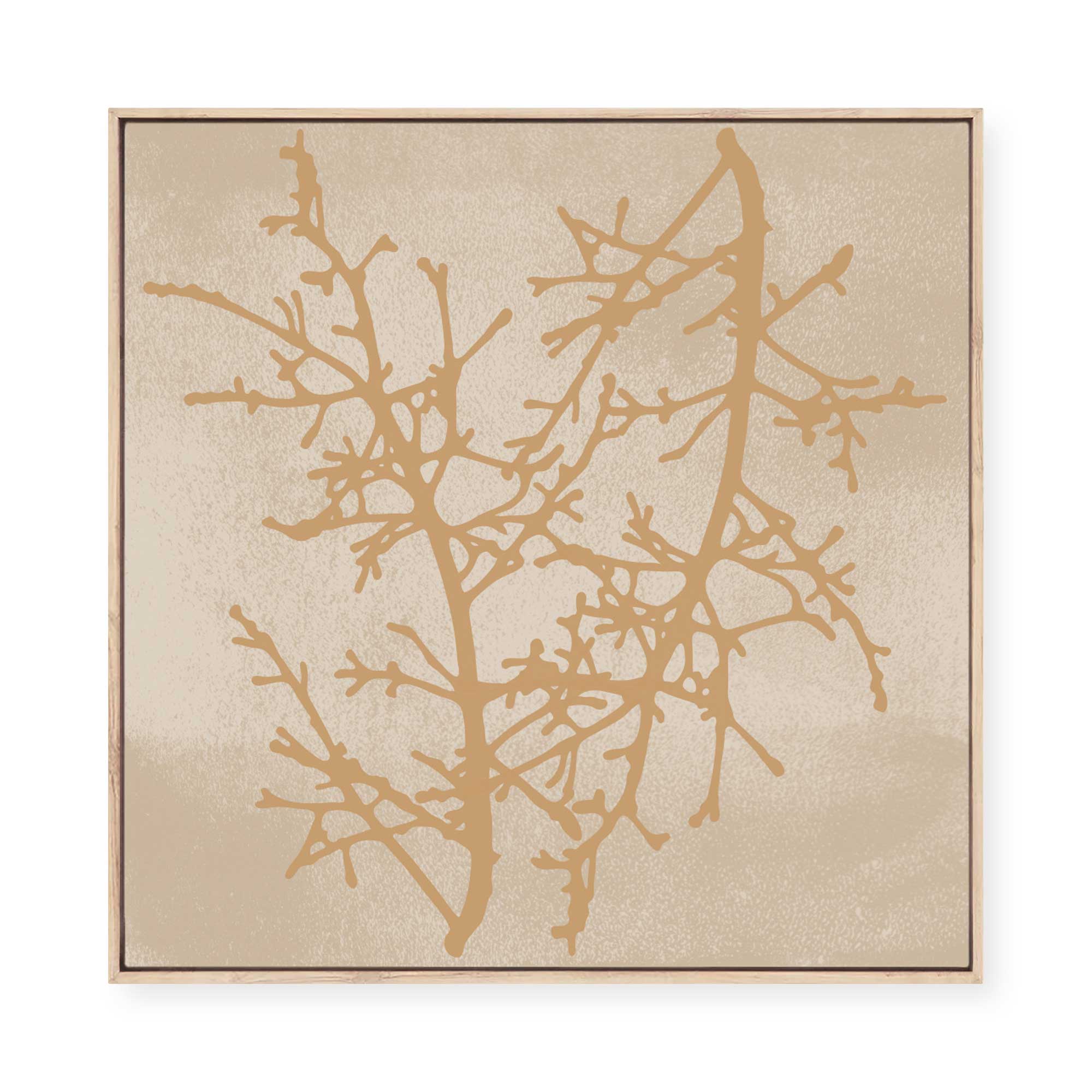 Delicate Winter Branches | Framed Canvas
