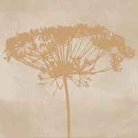 Dill Botanical Silhouette