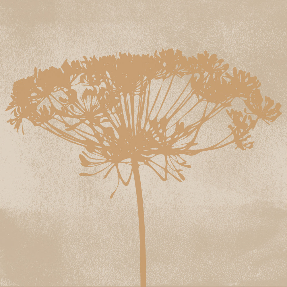 Dill Botanical Silhouette