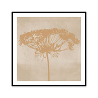 Dill Botanical Silhouette