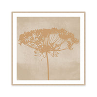 Dill Botanical Silhouette