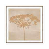 Dill Botanical Silhouette