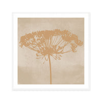 Dill Botanical Silhouette