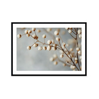 Dried Elegance