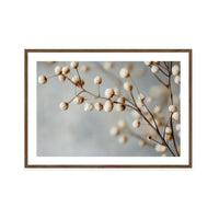 Dried Elegance