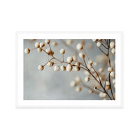 Dried Elegance