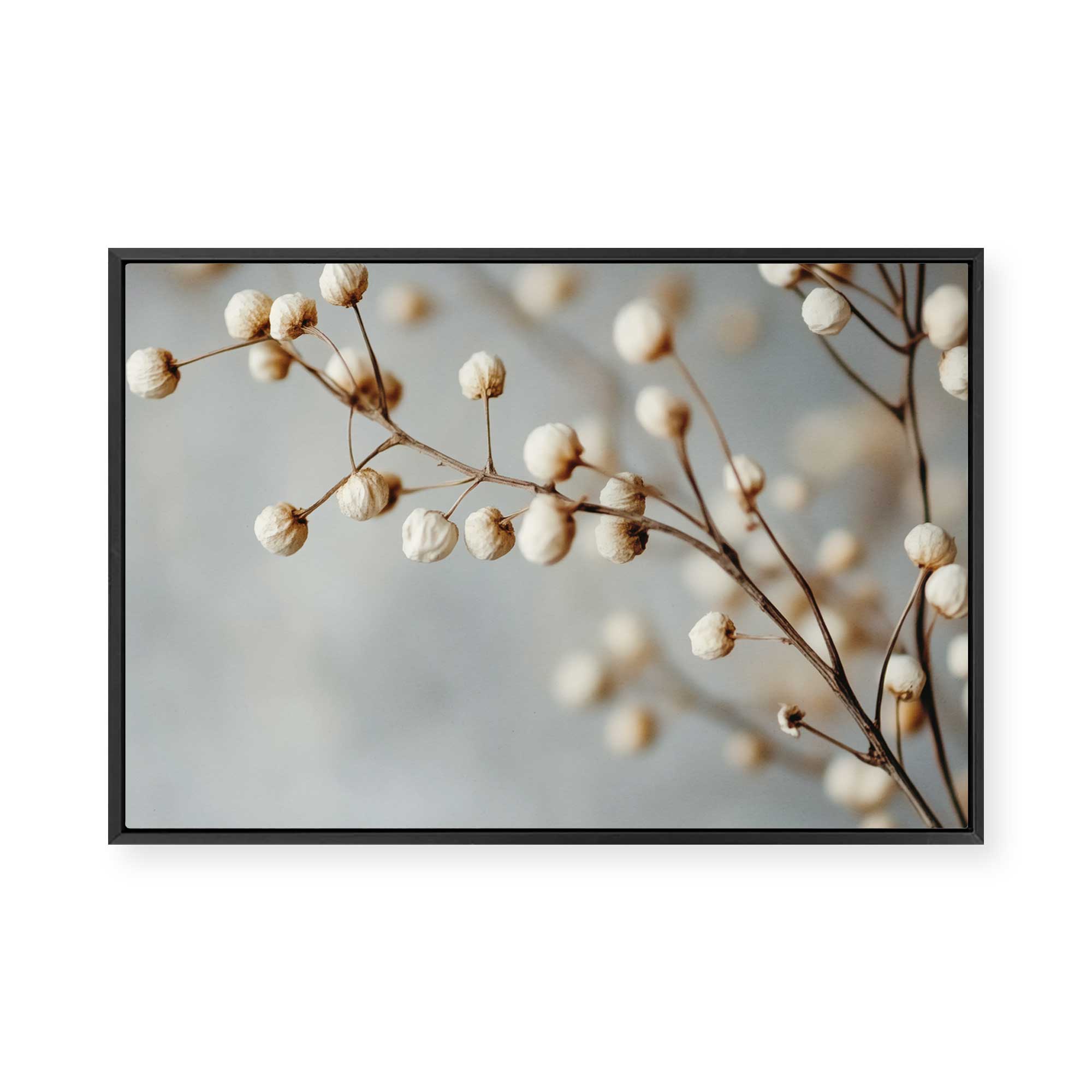 Dried Elegance | Framed Canvas