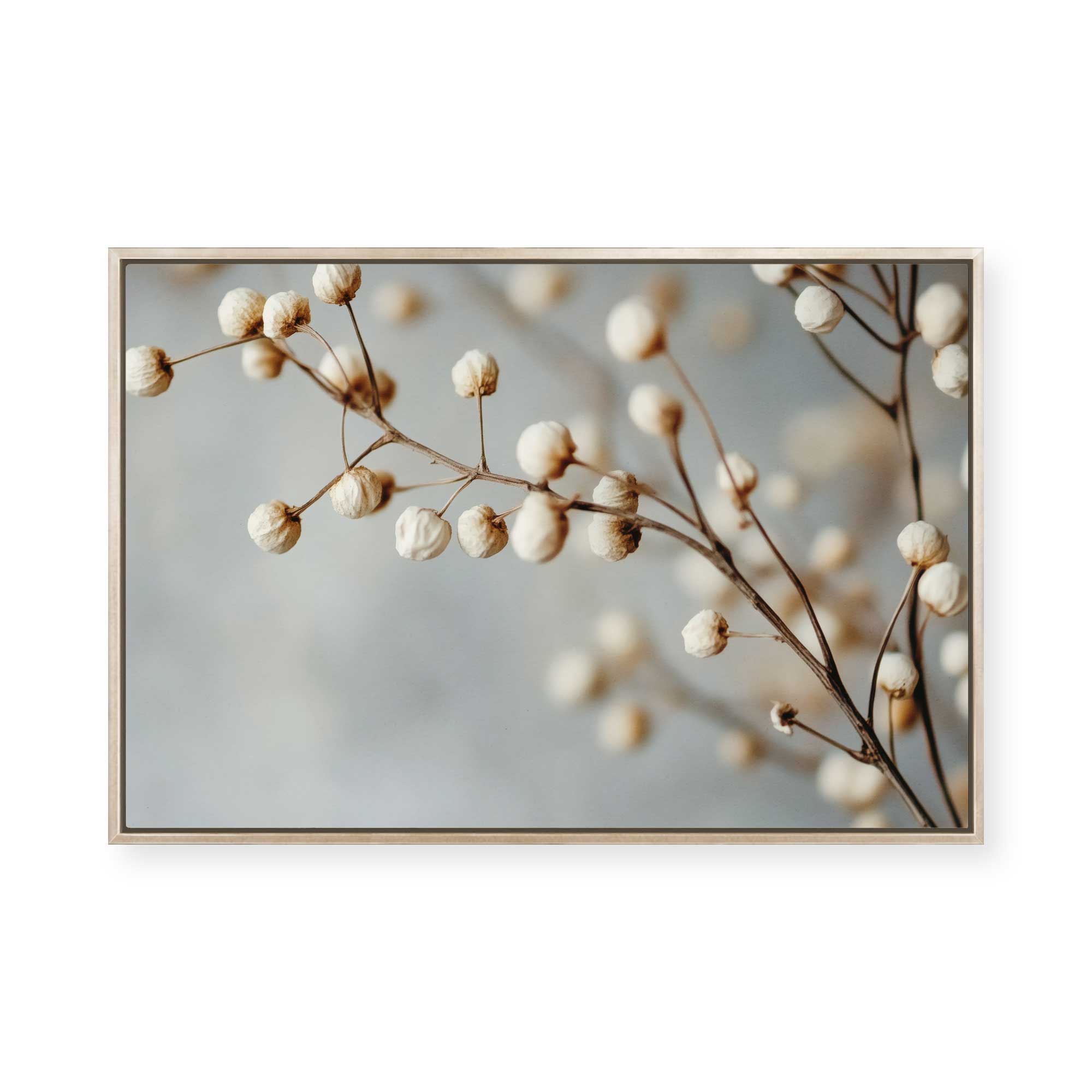 Dried Elegance | Framed Canvas