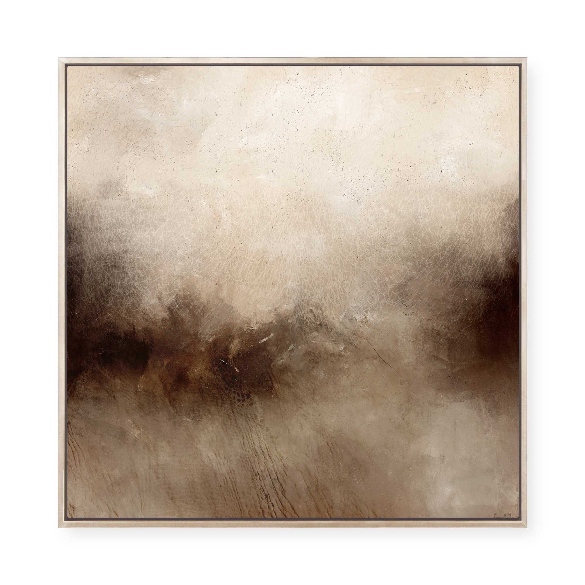 Earth Memory | Framed Canvas