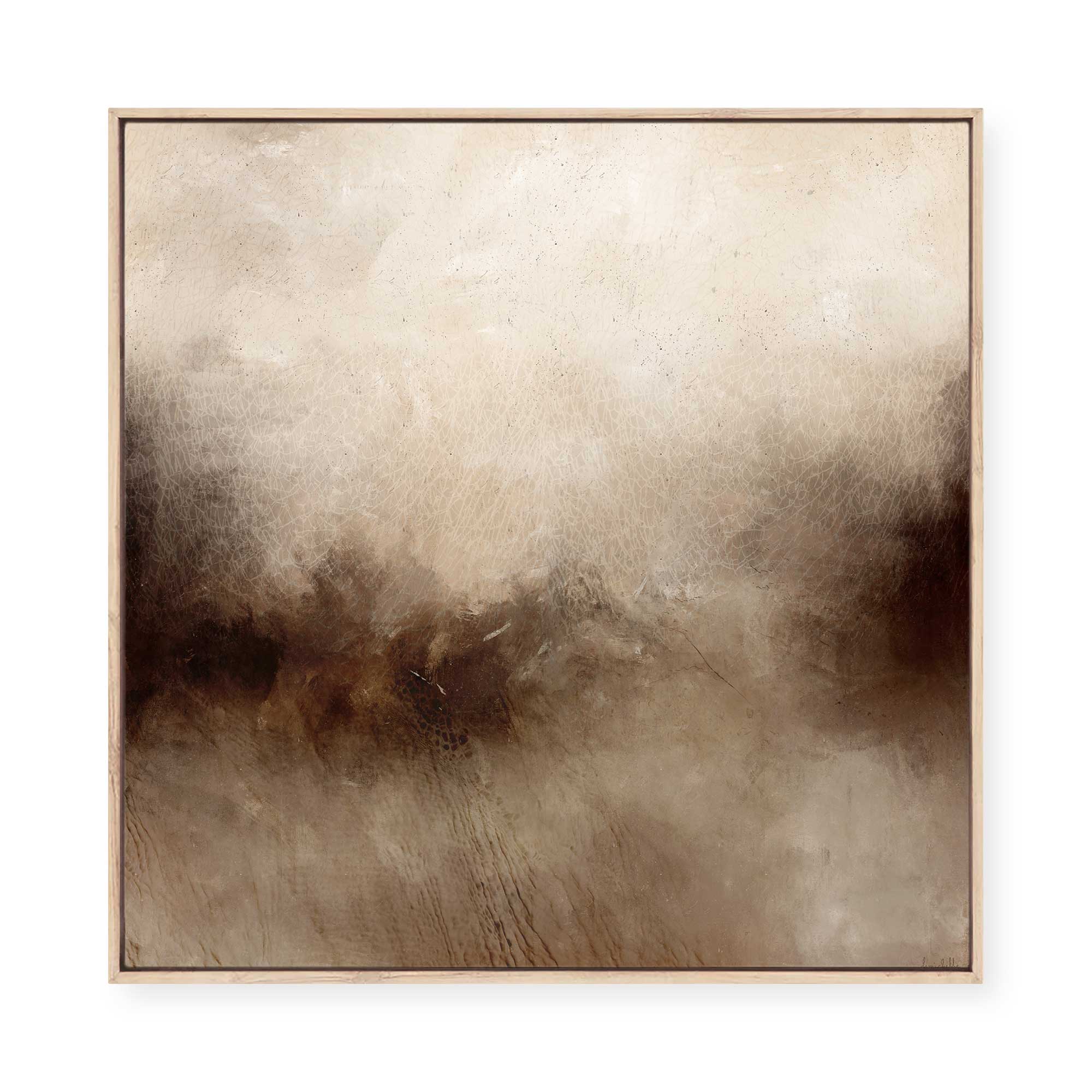 Earth Memory | Framed Canvas