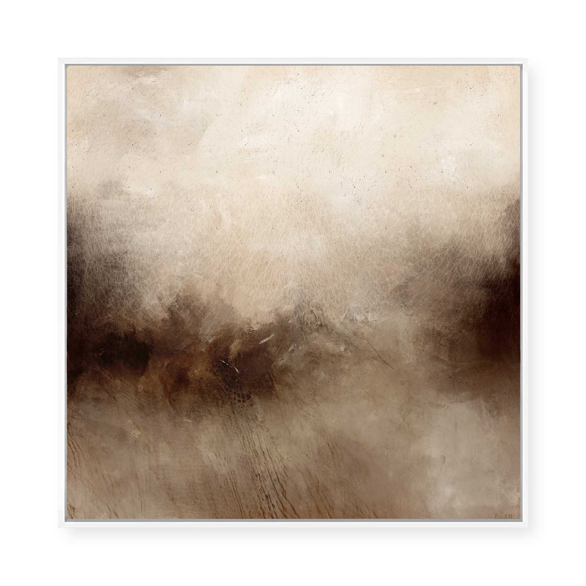 Earth Memory | Framed Canvas