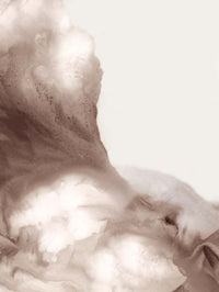 Earth and Mist in Quiet Motion