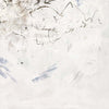 Echoes in Soft Gray Mist II
