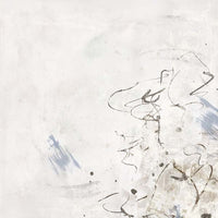 Echoes in Soft Gray Mist I