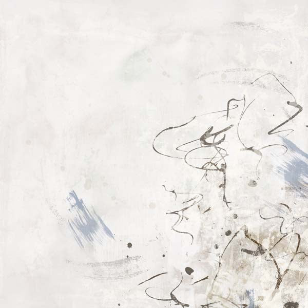 Echoes in Soft Gray Mist I