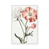 Elegance of Flowers | Framed Canvas