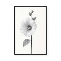Elegant Hollyhock Bloom | Framed Canvas