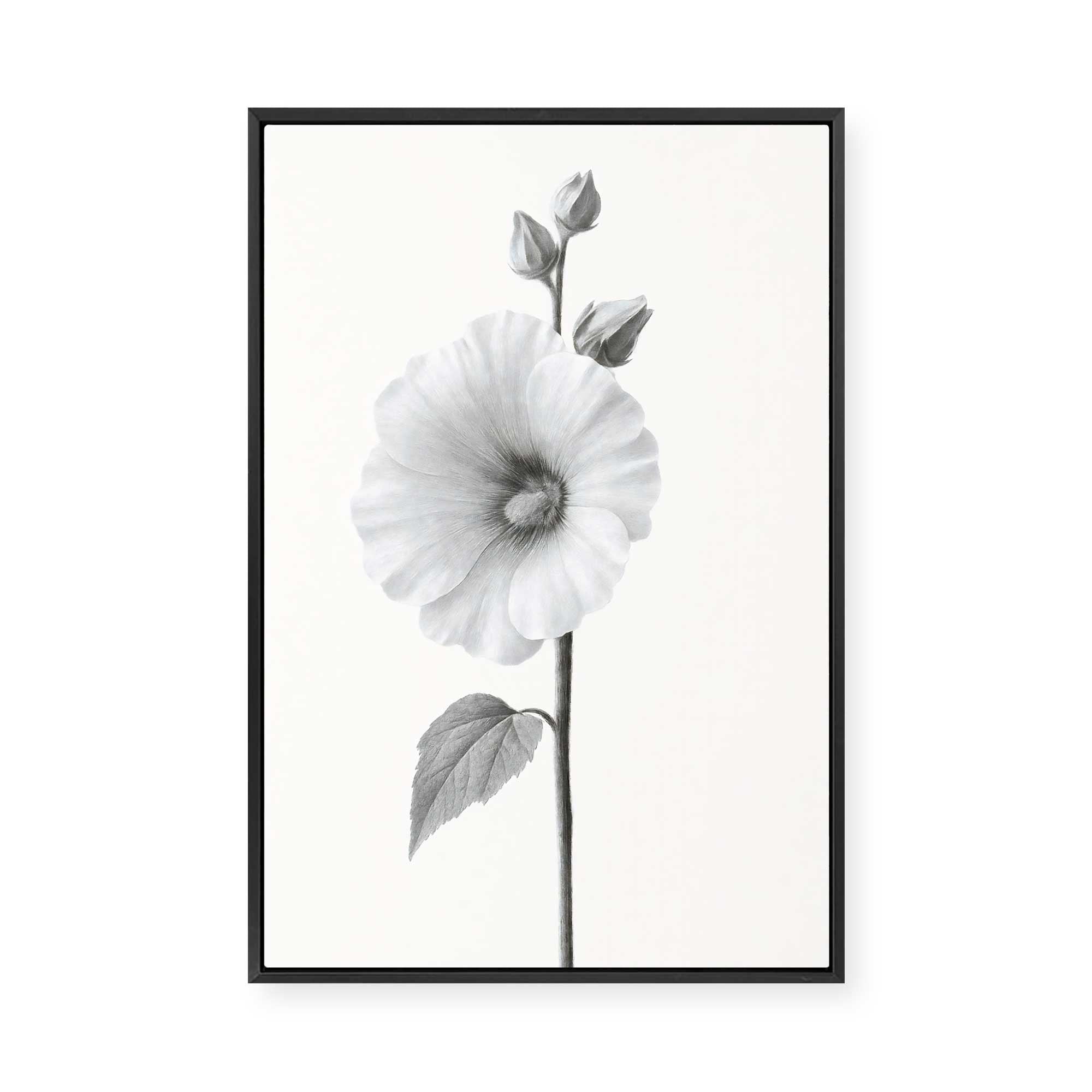 Elegant Hollyhock Bloom | Framed Canvas
