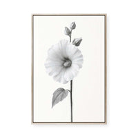 Elegant Hollyhock Bloom | Framed Canvas