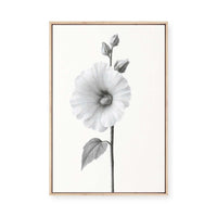 Elegant Hollyhock Bloom | Framed Canvas