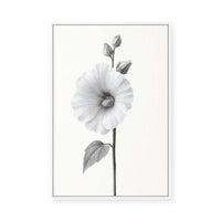Elegant Hollyhock Bloom | Framed Canvas