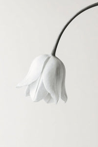Elegant White Bloom