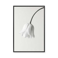 Elegant White Bloom | Framed Canvas