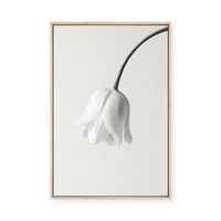 Elegant White Bloom | Framed Canvas